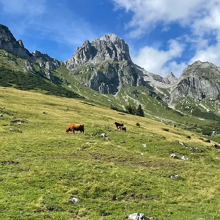 Haigis 1 Apartamento *