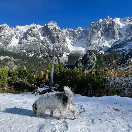 Haigis 1 Annaberg im Lammertal